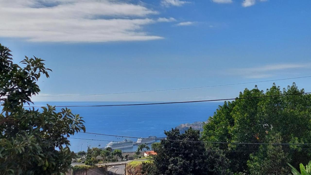 Villa Strelitzia Funchal  Zewnętrze zdjęcie