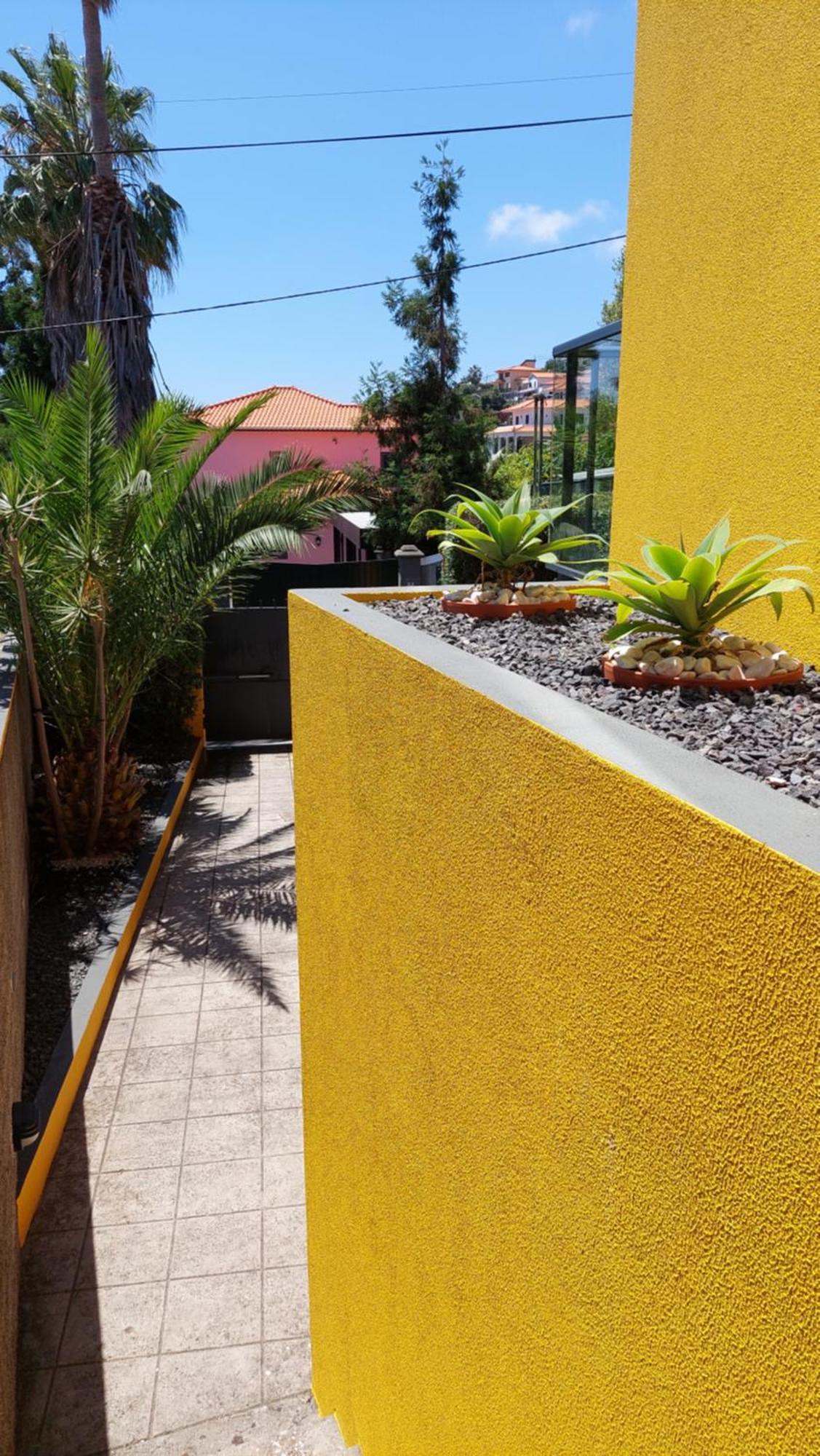 Villa Strelitzia Funchal  Zewnętrze zdjęcie