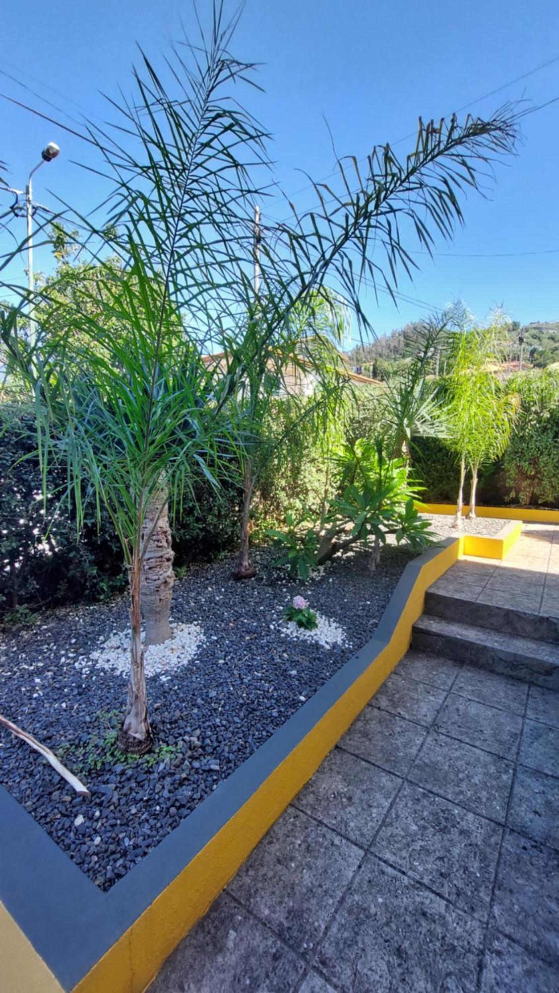 Villa Strelitzia Funchal  Zewnętrze zdjęcie